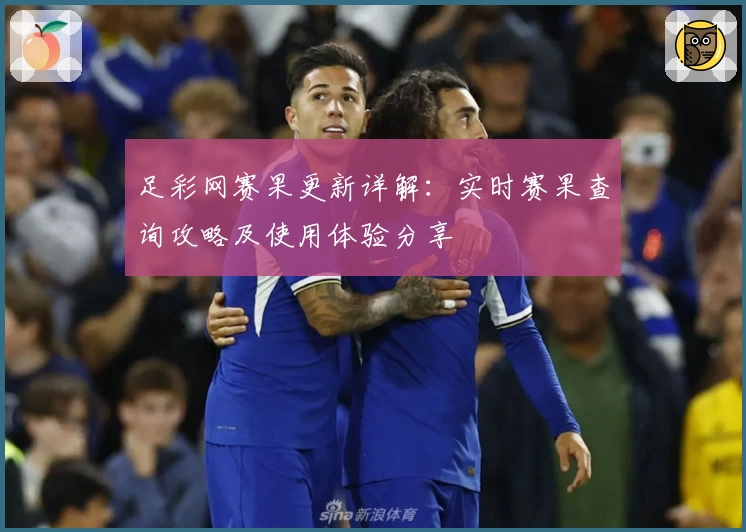 足彩网赛果更新详解：实时赛果查询攻略及使用体验分享