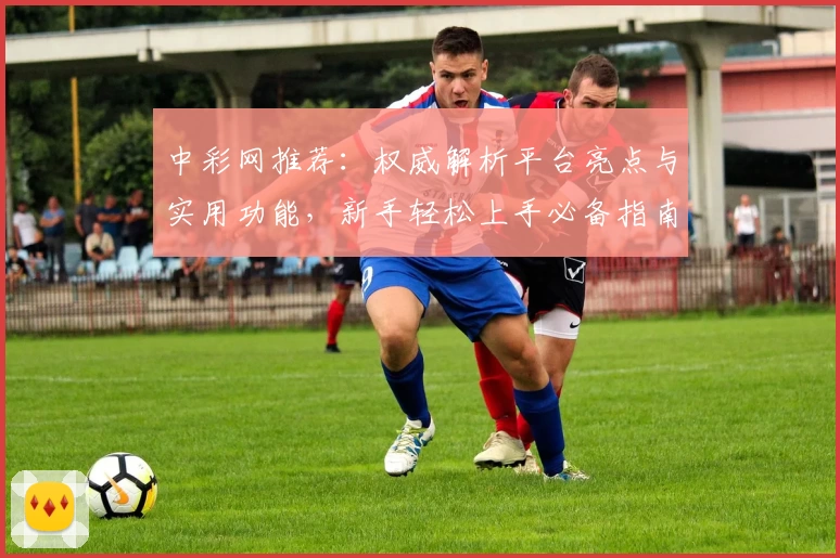 中彩网推荐：权威解析平台亮点与实用功能，新手轻松上手必备指南