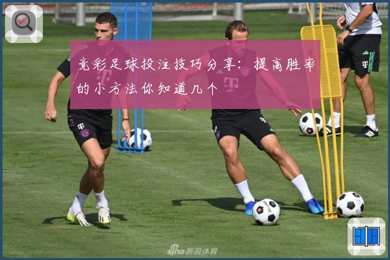 竞彩足球投注技巧分享:提高胜率的小方法你知道几个
