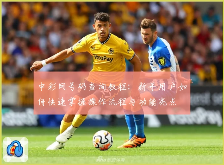 中彩网号码查询教程:新手用户如何快速掌握操作流程与功能亮点